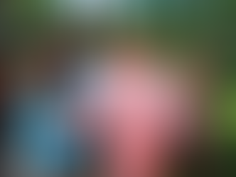 "Matrimonio alle Bahamas": stasera su Rete Quattro