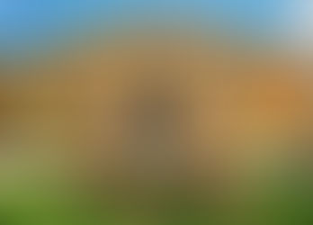 "Linea Verde Tour": tra arte e cibo nella Food Valley