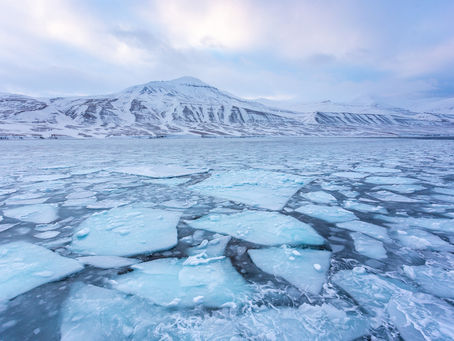 "Wildest Antarctic": Le isole ghiacciate