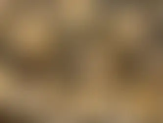 A "Mi Manda Rai Tre" la produzione del miele