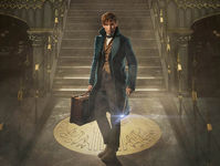 "Animali fantastici e dove trovarli": stasera su Italia Uno