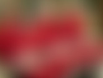 "La Banda dei Babbi Natale": stasera su Canale Cinque