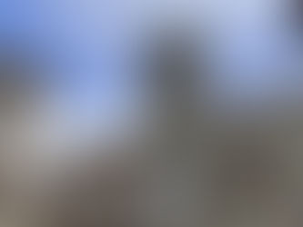 "Linea Verde Radici": Alla riscoperta delle Marche