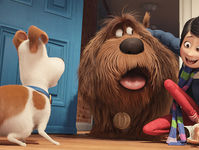Stasera in tv