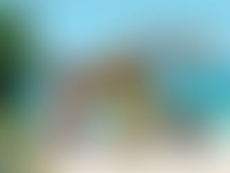 "Madagascar": stasera su Italia Uno