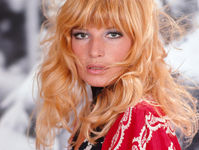 "Illuminate": Monica Vitti