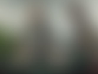 "Il Corriere – The Mule": stasera su Canale Cinque