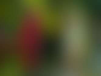 "Tale e Quale Show": ogni venerdì su Rai Uno