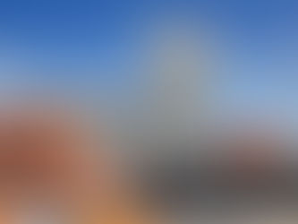 "Passaggio a Nord Ovest" alla scoperta del Museo Naturalis