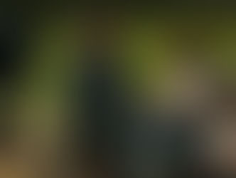 "Così è la vita": stasera su Italia Uno