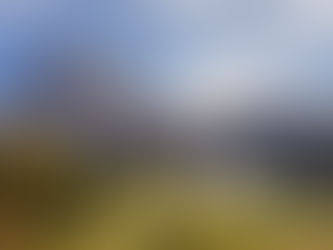 "Melaverde": a mezzogiorno su Canale Cinque