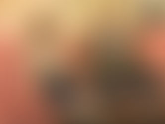 "Casa Vianello": al via la quindicesima serie