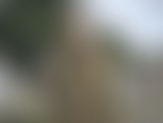 "Harry Wild – La Signora del Delitto": da stasera su Rete Quattro