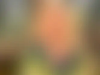 Carlo Cracco ospite a "E' sempre mezzogiorno!"