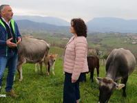 "Melaverde": a mezzogiorno su Canale Cinque