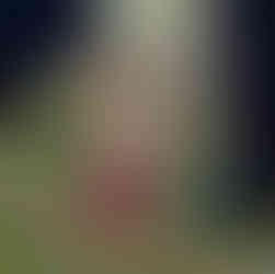 kuks