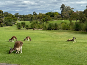 Connecting in Asia and Australia