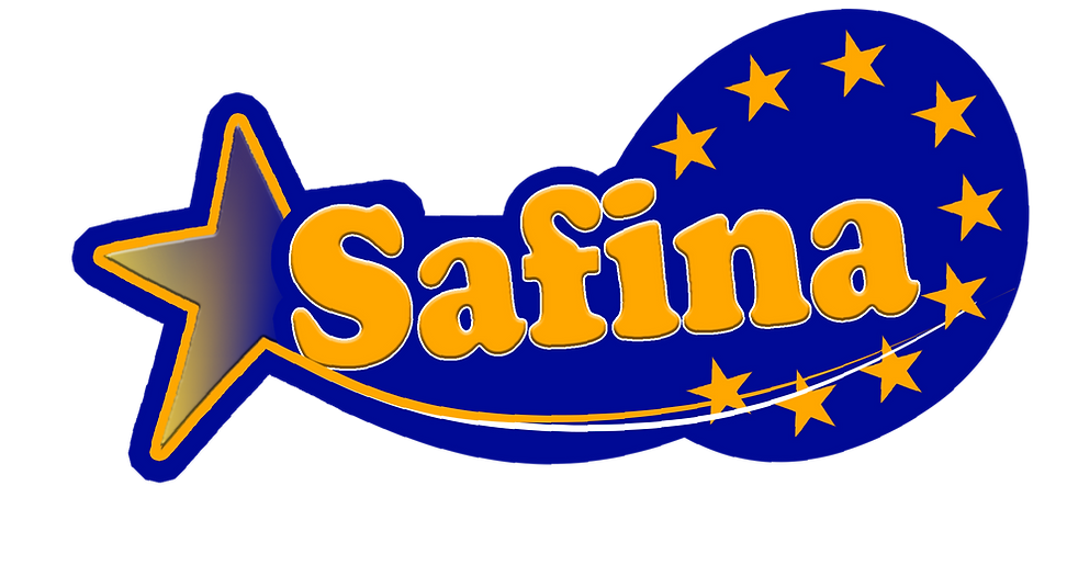 Copie de Logo Top Safina PNG_edited_edited.png