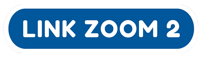 Link zoom 2.png