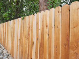 Fencing Options for Privacy and Style: What Charlotte Homeowners Should Know