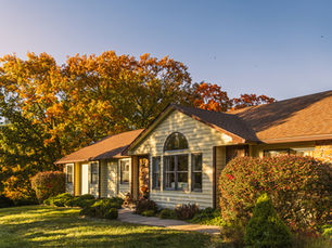 Fall Landscape Planting in Charlotte: Choosing Trees, Shrubs, and Plants for Long-Term Success