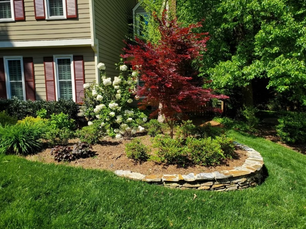 Spring Landscaping in Charlotte: How to Prepare Your Yard for a Stunning Outdoor Season