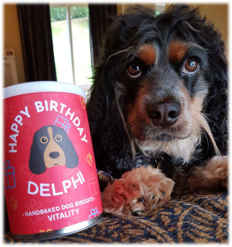 Introducing the Advancing Safe Research for Researchers' Mental Health Project