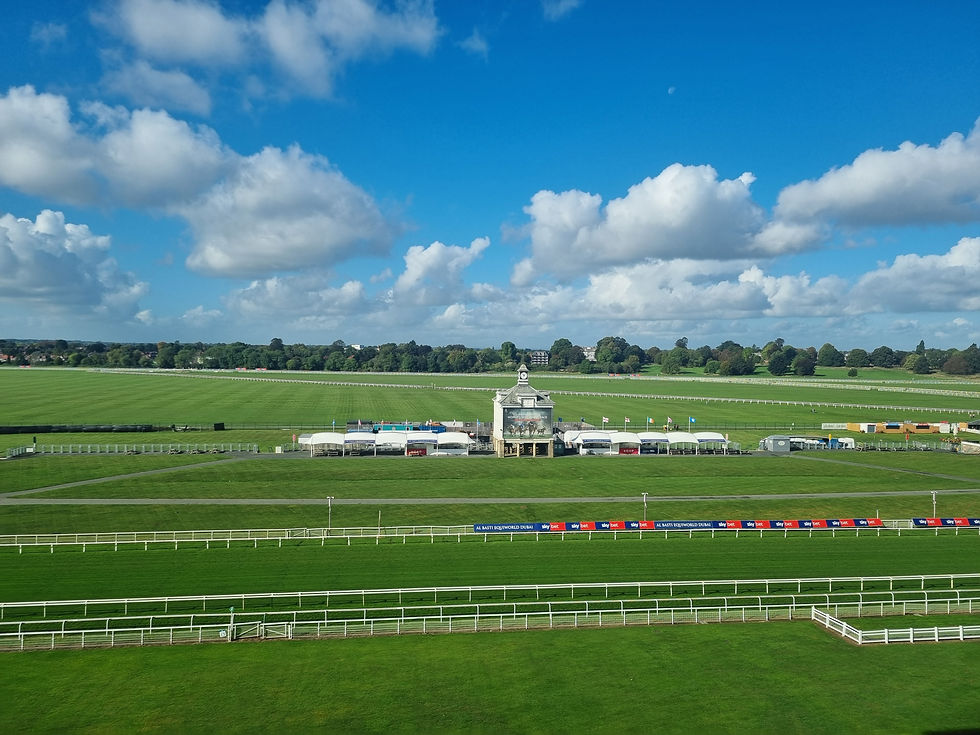 Wide horse racing track with green turf, white rails, and a central grandstand under a bright blue sky with fluffy clouds, sky bet signs