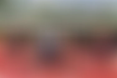 Image description: Athletics training group