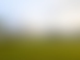 Participants of IIT Roorkee’s Advanced Certificate in Quantum Computing: Algorithms and AI/ML engaged in online hands-on training using Qiskit, PennyLane, and IBM Quantum Systems.