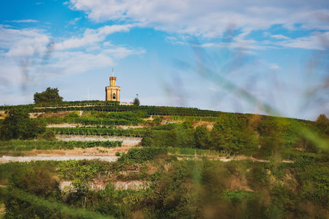 Fotografie Alles Bad Dürkheim Landschaft Flaggenturm Wachenheim