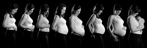 Studio Portrait  Bad Dürkheim Bilder Babybauch Photoshop Fotograf