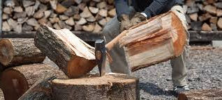 11/29（土）合同イベント