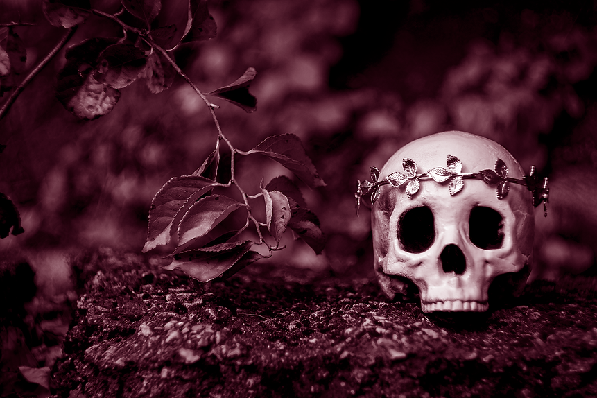 home page header.png