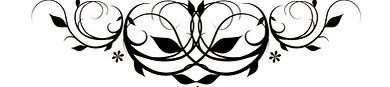 Screenshot 2024-03-06 130813_edited.jpg