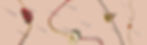 Rakhi temp.jpg