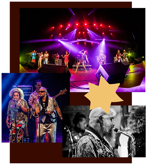 O Quasímodo faz com seu repertório uma verdadeira alquimia que mistura rock com discoteca, Frank Zappa com Sidney Magal, Bee Gees com Raul Seixas, acompanhados de muito Funk!