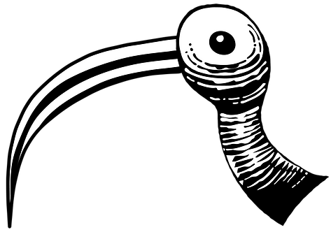Essa ilustração de pássaro faz parte da arte da nova logomarca da Produtora Taba desenhada pelo artísta Gian Paolo La Barbera - Owner - Barbera Estúdio