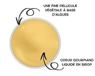 Structure d'une perle de sirop