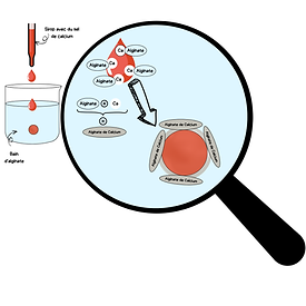 Fabrication de la perle de sirop