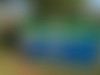 Sears Farm Road Park - Cary, NC