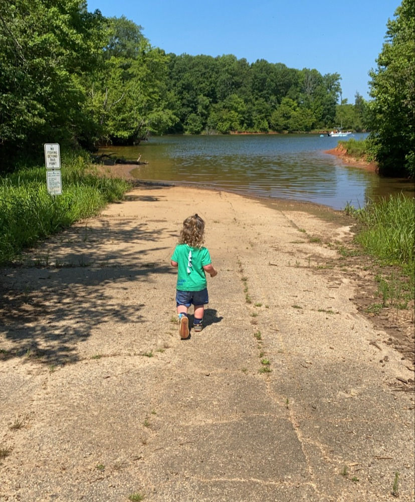 The Battle for Falls Lake