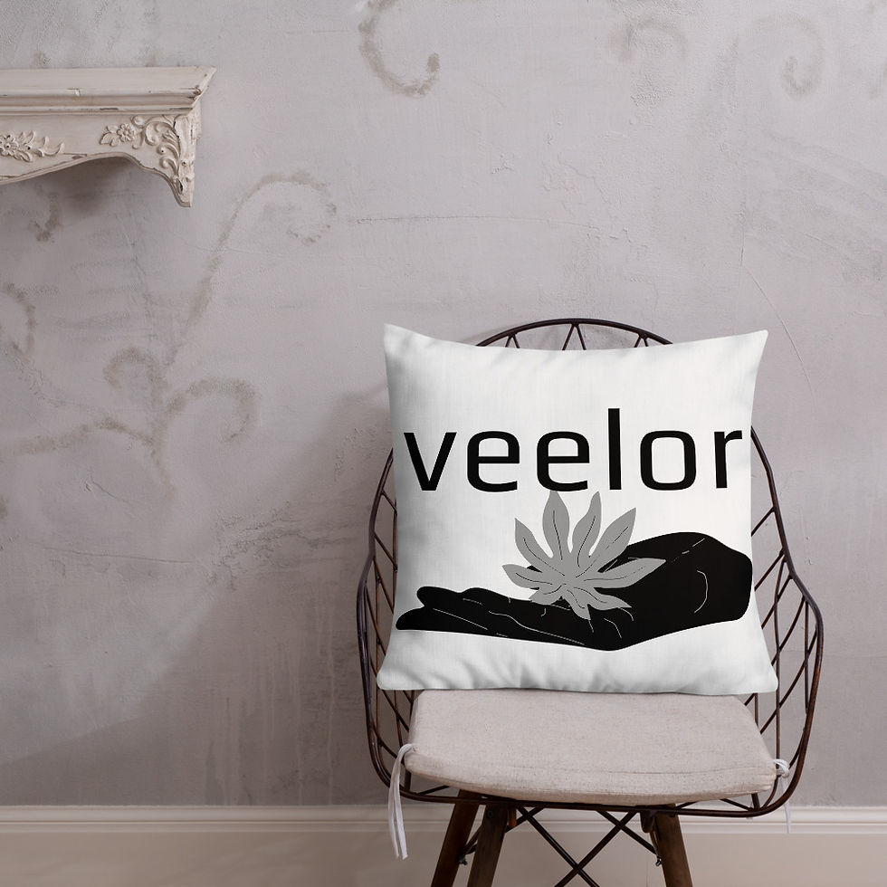 Thumbnail: Premium Pillow