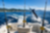 Fishing Charters Puerto Vallarta: Everything You Need to Know Before Booking Your Fishing Adventure