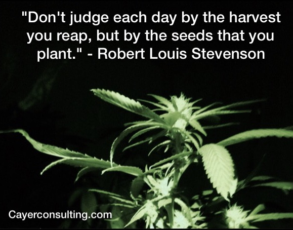 I'm sowing compassion. What are you sowing today?