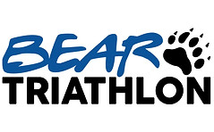 BearTri.jpg