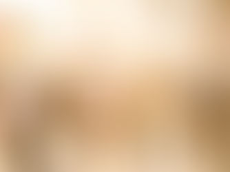 Federal Wage Subsidy Highlights + Benefits April 1st 2020