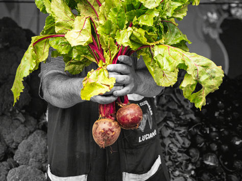 Brasil Sem Desperdício lança campanha #FazAXepa para transformar o olhar sobre o desperdício de alimentos