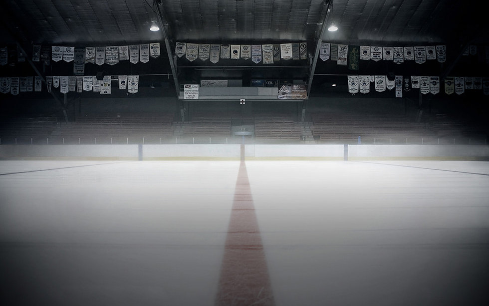 HC Renens Vipers