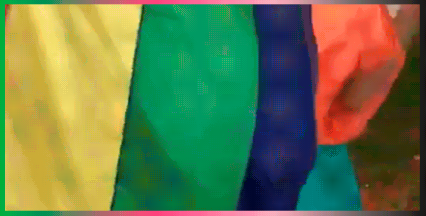 vídeo-03.gif